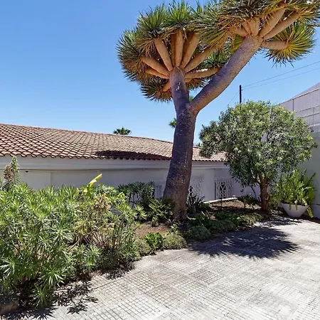 La Ideal Mansion By Villagrancanaria